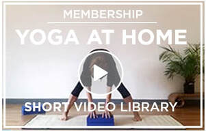 Bristol YogaSpace short home practice video library with Clara Lemon